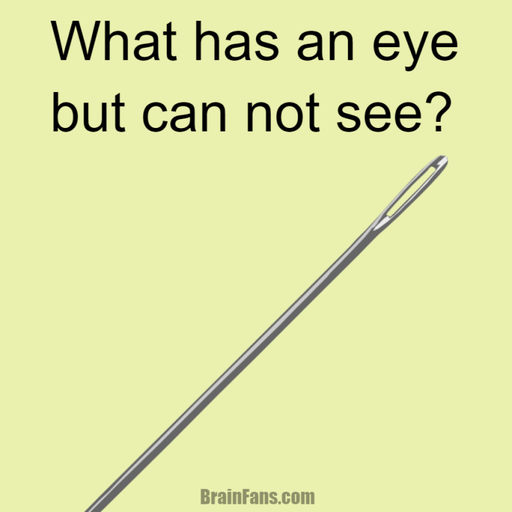 brain-teaser-logic-riddles-what-has-an-eye-but-cannot-see-1658557895593452f40de0b1.80044688